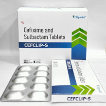  Pharma franchise in Chandigarh - Clipwin Pharma	tablets cefclip.jpg	